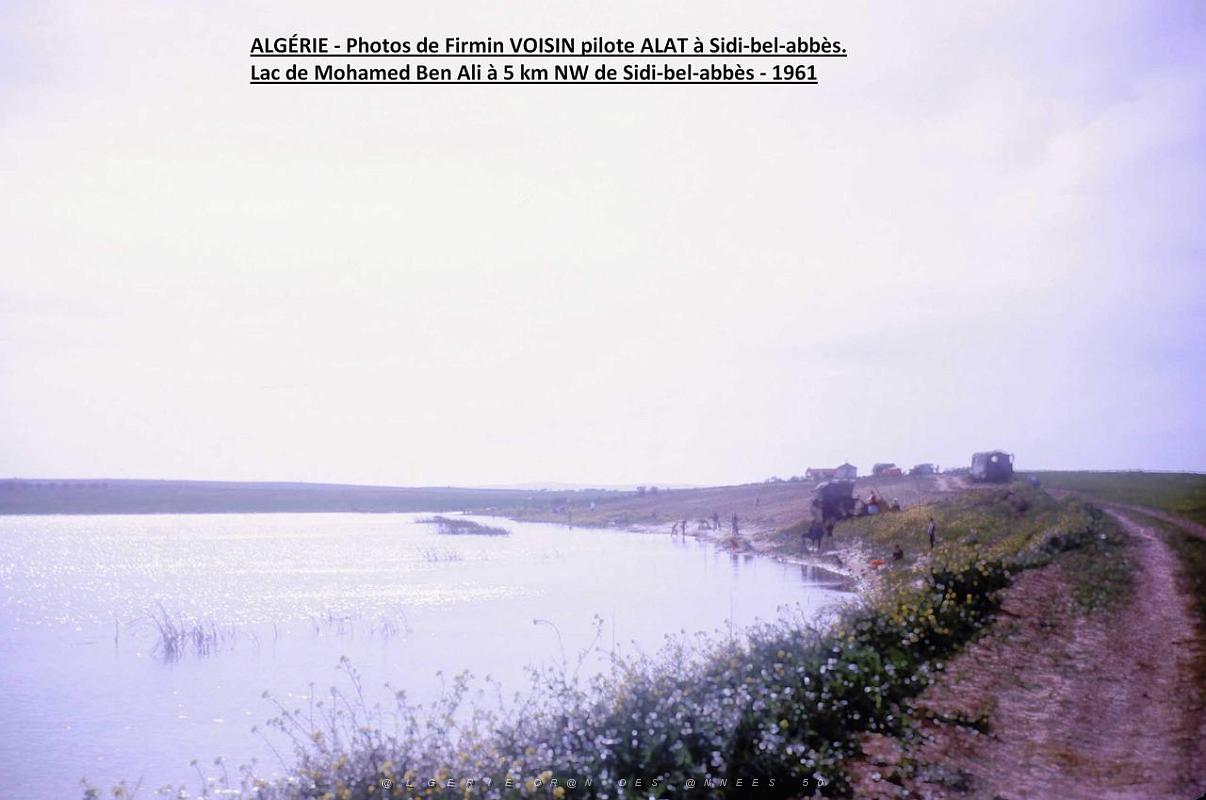 VF-134 Lac de Mohamed Ben Ali, a 5 km au NW de Sidi-Bel-Abbes - 1961.jpg